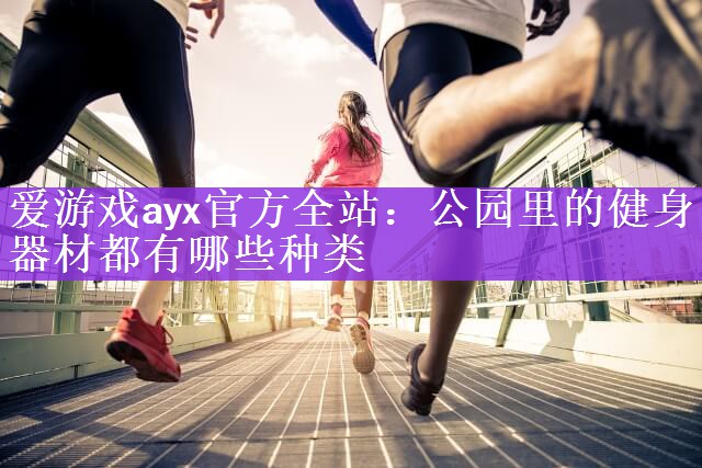 爱游戏ayx官方全站：公园里的健身器材都有哪些种类